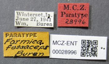 Media type: image;   Entomology 28996 Aspect: labels
